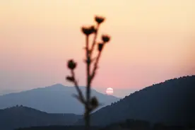 命里这两个人，是老天派来渡你的，别不知道图片