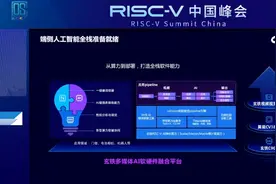 平头哥首个自研RISC-V AI平台来了！能跑170余个主流AI模型图片