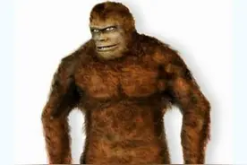 神农架真的有野人吗？武汉教授给出证据，不料却遭到专家反对图片