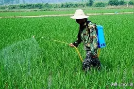 农药二次稀释，好处有哪些？图片