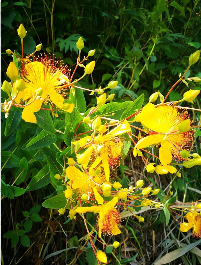 濡備綍浣跨敤鈥滄皑鍩洪吀鈥濃€滄彁浜у鏁堚€? onerror=