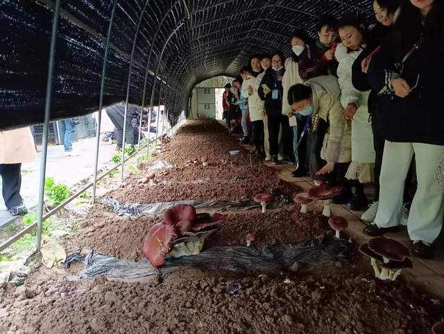 四川省民生研究会新媒体中心-官网