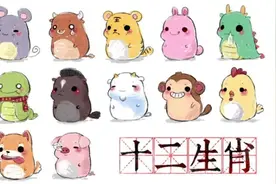 十二生肖为什么没有猫图片