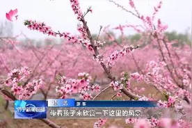 济宁：踏青出游 尽享春日好时光图片