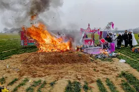 北大教授提议恢复土葬，为什么？看完这几点原因，你就懂了图片