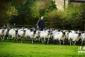 2022年最后12天：让人瞬间幸福的20件小事（建议收藏）图片