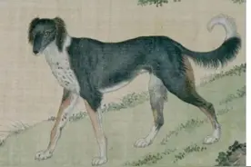 狰猶:《穆天子传·卷一》终:穆王八骏、六犬、四御兼萃士的高情商图片