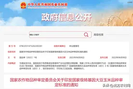 从今往后，选择玉米品种，同一块地至少1/3的种子要抗虫图片
