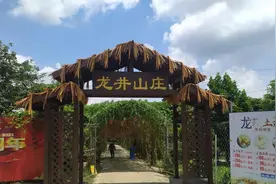 发现湛江最好玩的农家乐园图片