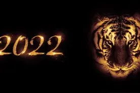 华师一附中2022年高一上期中模拟数学试卷（含答案）图片