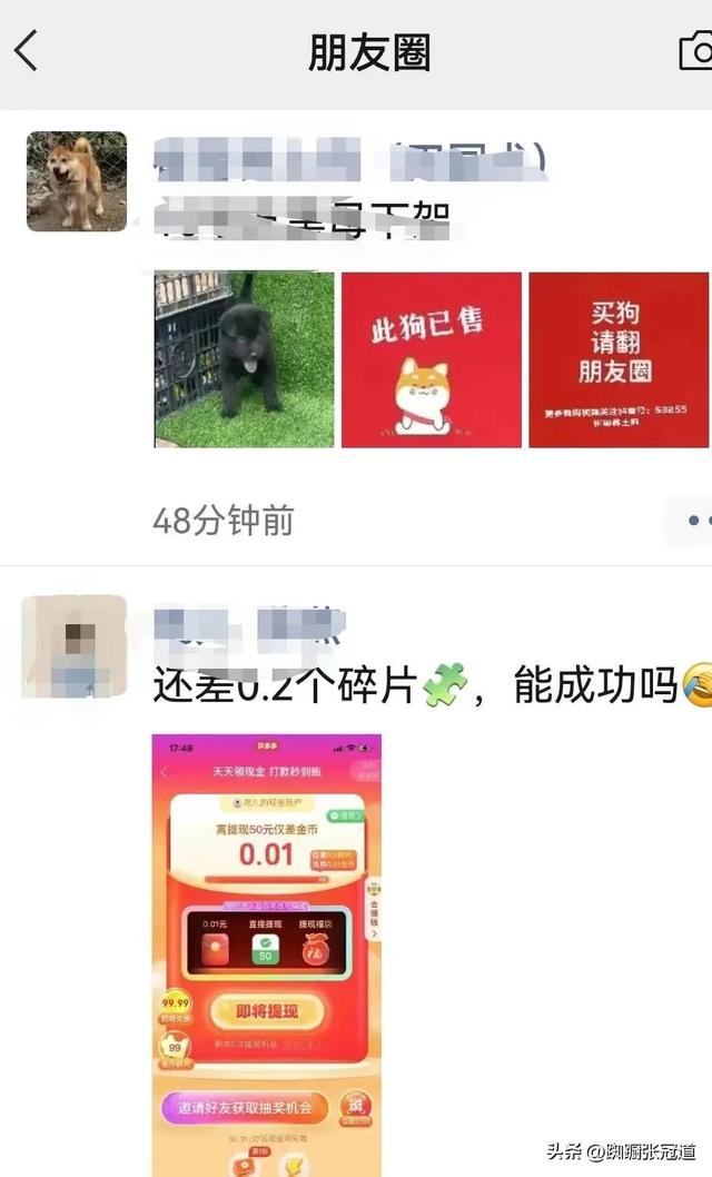这两个月拼多多大转盘提现成兰州人的唯一收入