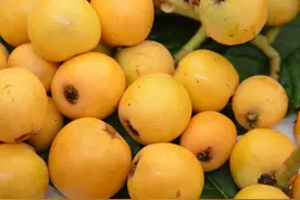 5月份有哪些当季蔬菜水果？图片