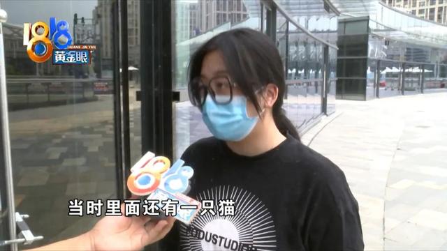 梦笼逃脱攻略（1818黄金眼密室逃脱里的猫如何逃脱）