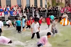 【视频】欢乐现场！高三学生徒手抓鱼大比拼图片
