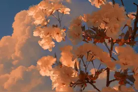 我借给表妹30万，她还钱时，用银行卡转账30万，另外微信转2000元图片