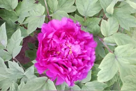 2004年-2005年流行的、比较火、超级好听的歌单（个人觉得）图片