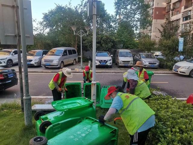 东湖新技术开辟区豹澥街分类专班黄金堂社区开展清洁家园活动