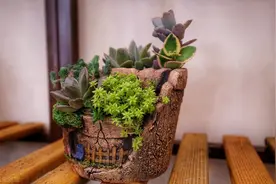 人老了，最清醒的活法是：见人少说话，遇事少掺和图片