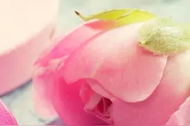 散文：余生，让自己做个在时光中慢慢盛开的人图片