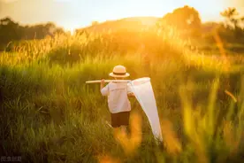 妻言志（44）：戒掉的是咖啡，获得的是自由图片