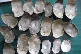 1988年村民盖房时挖出12个银元宝，前任房主上门讨要，最终归谁了图片