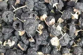 黑枸杞正确吃法图片