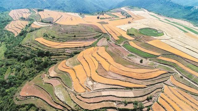 拍点发现 | 梯田风景,光影韵律
