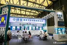 有机硅密封胶龙头持续扩张，硅宝科技：布局硅碳负极材料成长可期图片