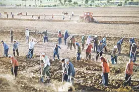 前人栽树，后人乘凉。不得不说，农业还是吃的毛主席那时的老底子图片