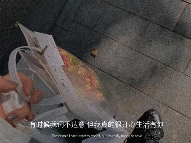 止于唇齿，掩于岁月