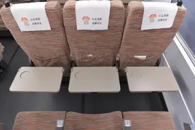 事关高铁小桌板！很多人看吐了，网友：素质呢？图片