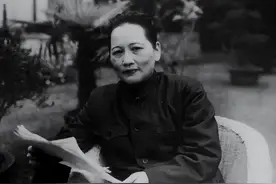 宋庆龄的秘密战争图片