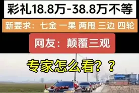 2025年彩礼新花样：七金一果两甩三边四轮！网友：打光棍吧图片