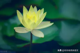 广东省广州市2022届高三下学期阶段训练语文试题及参考答案图片