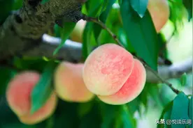 GRE考试重点词汇（B）图片