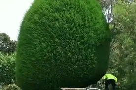 雷州是个小地方图片