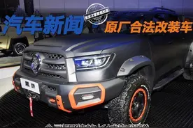 重度改装？原厂？合法？全副服装的长城炮黑弹图片