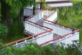 关于本命年我想说的图片