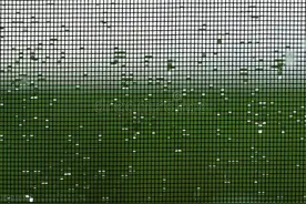 原来清洗纱窗这么简单，不需要拆卸，用上1个口罩，轻松变干净图片