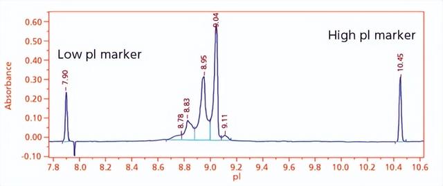单克隆抗体的表征分析有哪些？
