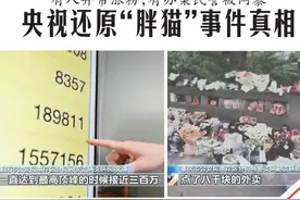 有人异常涨粉 有办案民警被网暴 央视还原“胖猫”事件真相图片