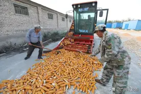 玉米脱粒机哪家强？龙江垦滋vs龙江景西，“黑龙江造”就是不一般图片