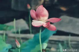 “家有三人，子孙无福”：这些人辈分再高，也会败光福祉图片