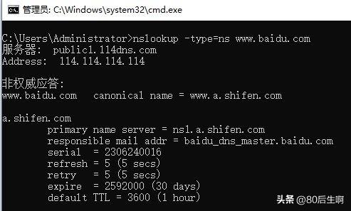 从域名到IP地址：nslookup命令带你开启网络之旅