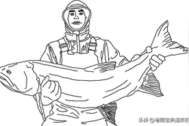 食材知识：带你正确认识鳟鱼与鲑鱼，品种也挺多，真是眼花缭乱的图片