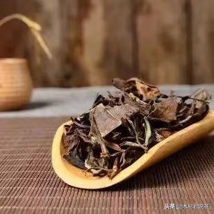 白茶香气和滋味形成的物质基础