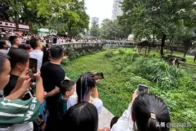 后续！重庆动物园女子被群殴，警方介入，道歉赔偿，园方：是误会图片