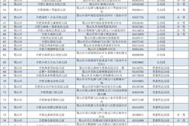 收藏！合肥市各个区县公办、民办幼儿园办学性质、办园等级图片