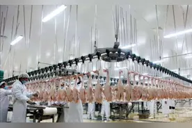 被美国人偷偷带走，花15亿买回来，“北京鸭”的百年回归路图片