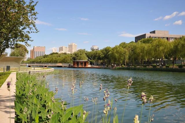 他们获得了2025第三届三联人文城市奖！